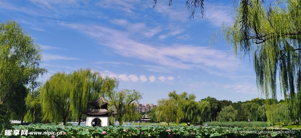 公园风景