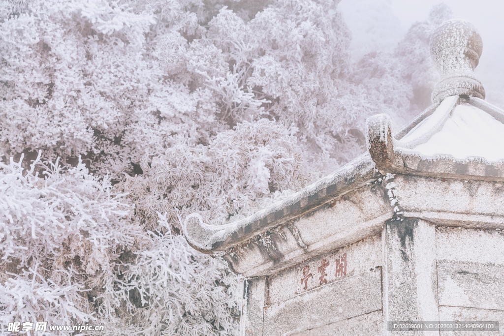 雪景