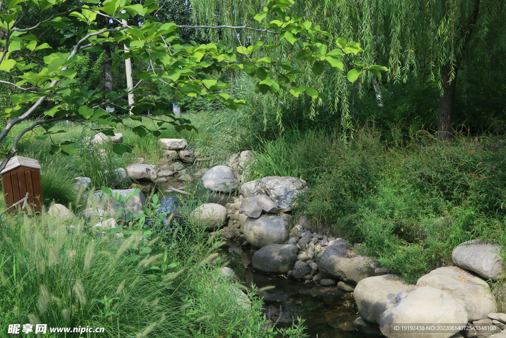 公园风景 