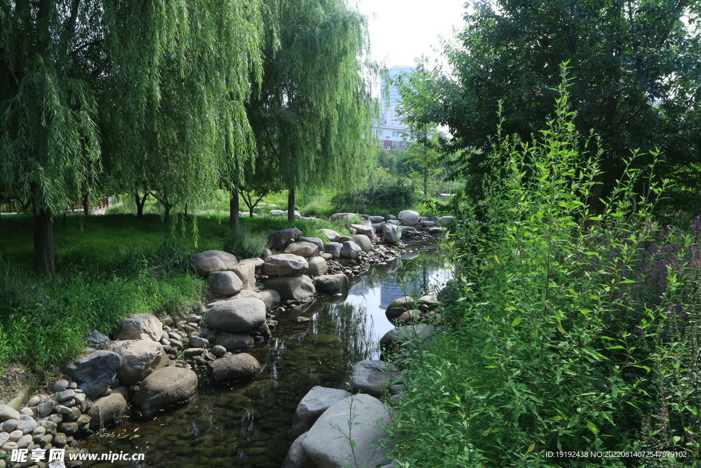 公园风景