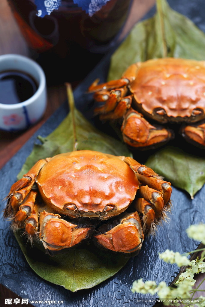 大闸蟹美食