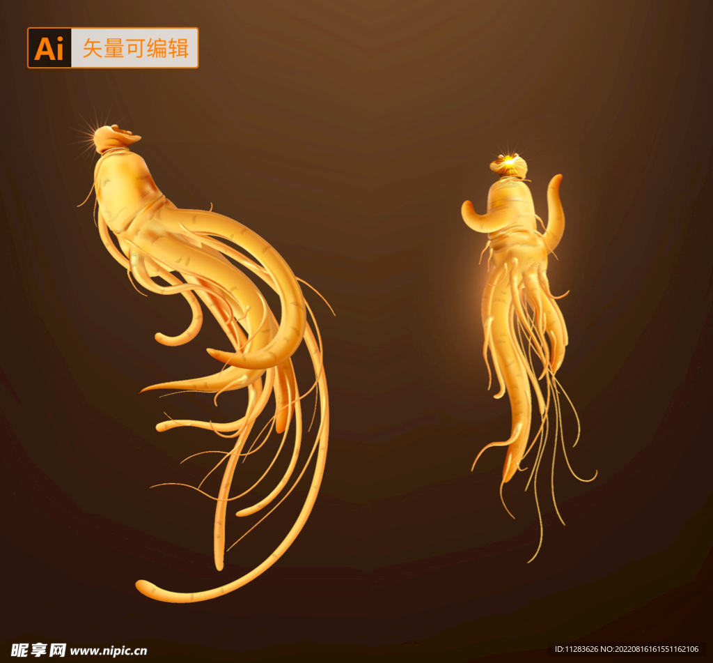 人参插画素材