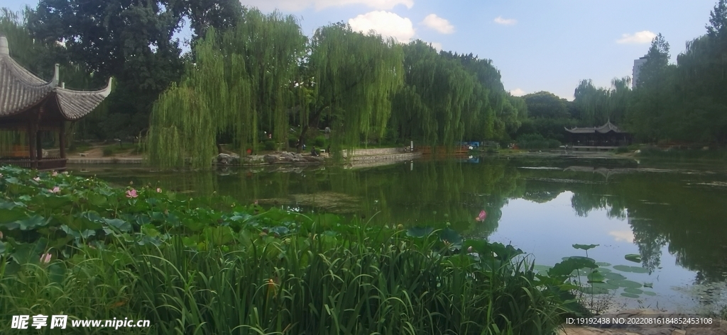 公园风景