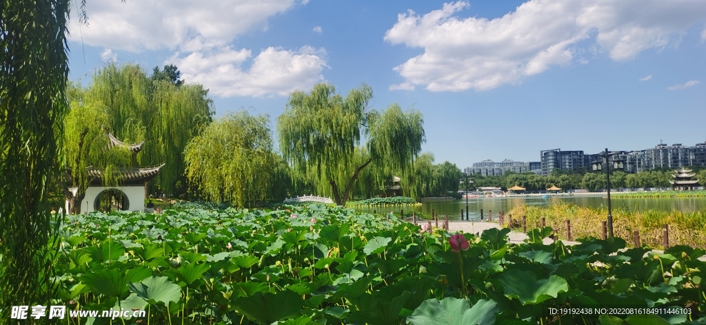 公园风景 