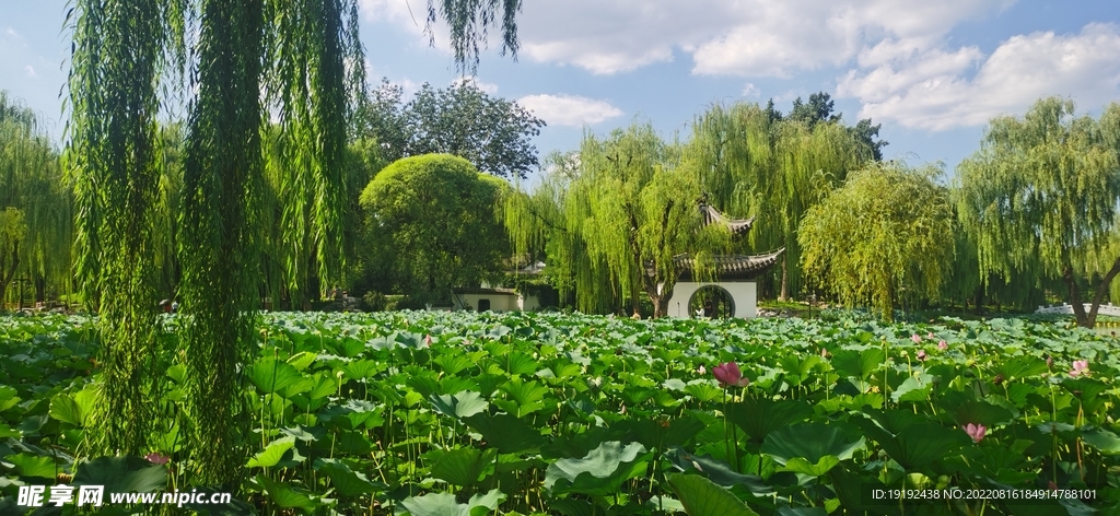公园风景
