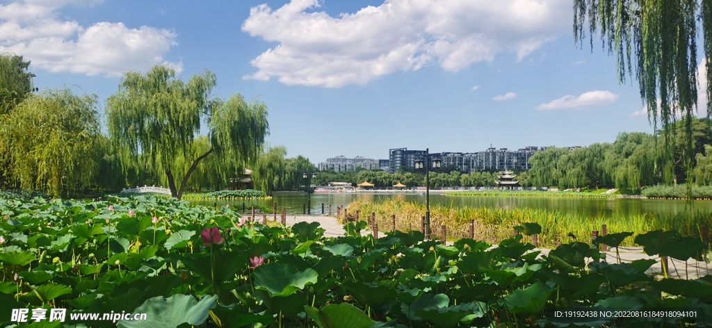 公园风景