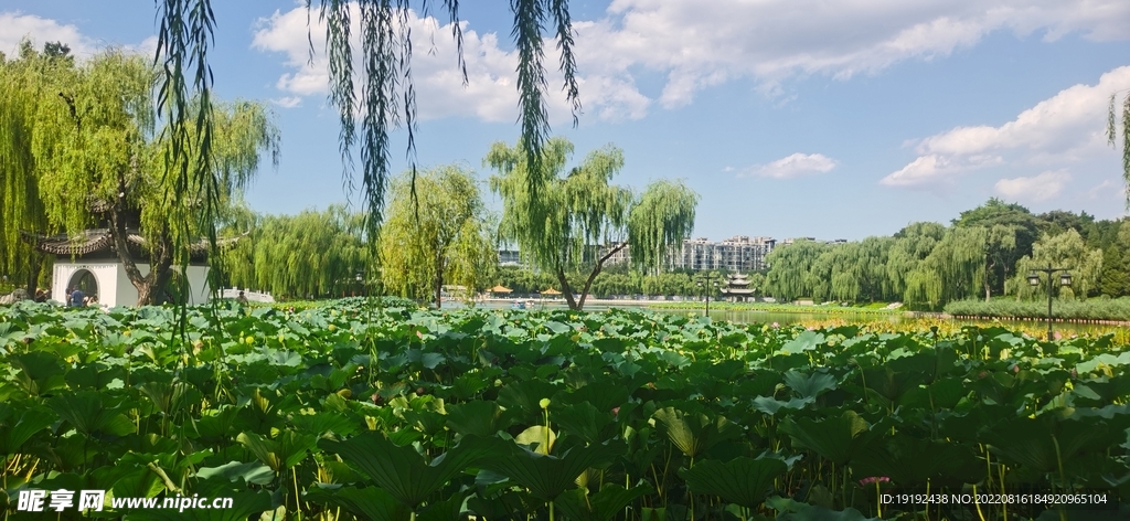 公园风景