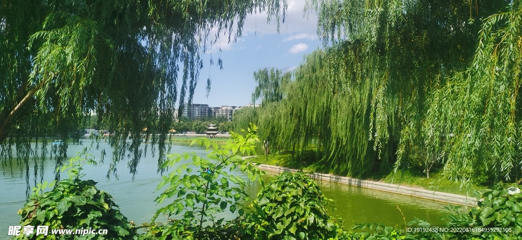 公园风景