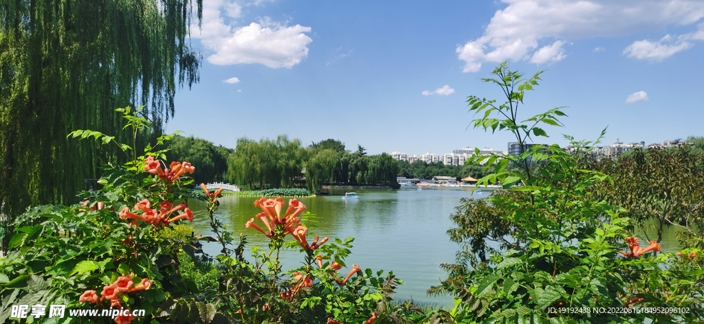 公园风景