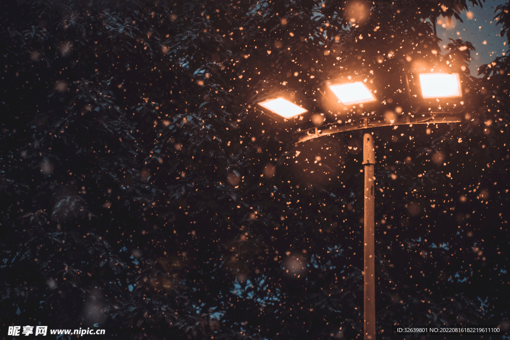 夜晚路灯