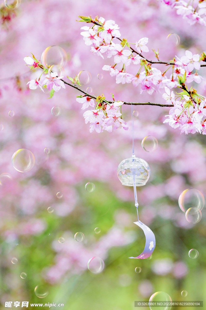 樱花树