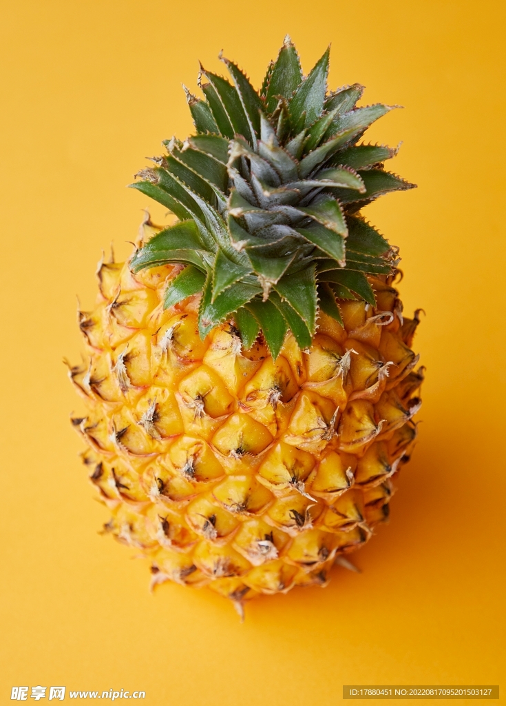 菠萝