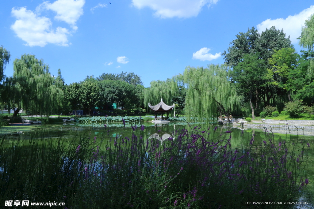 公园风景 