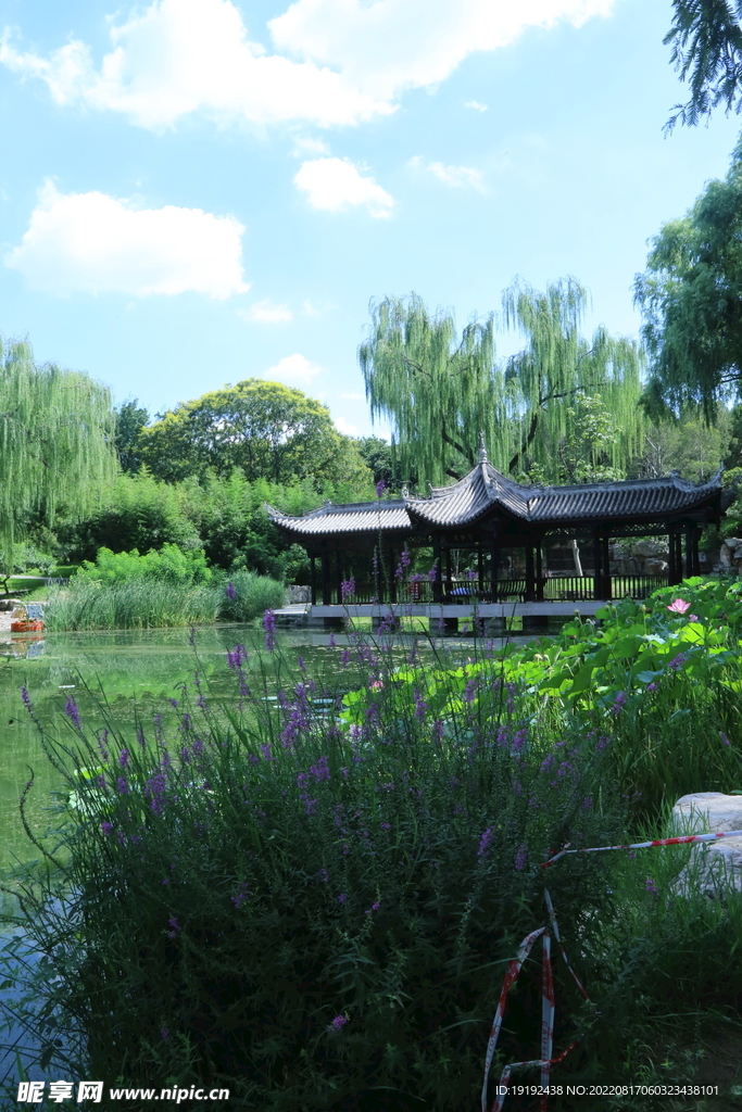 公园风景 