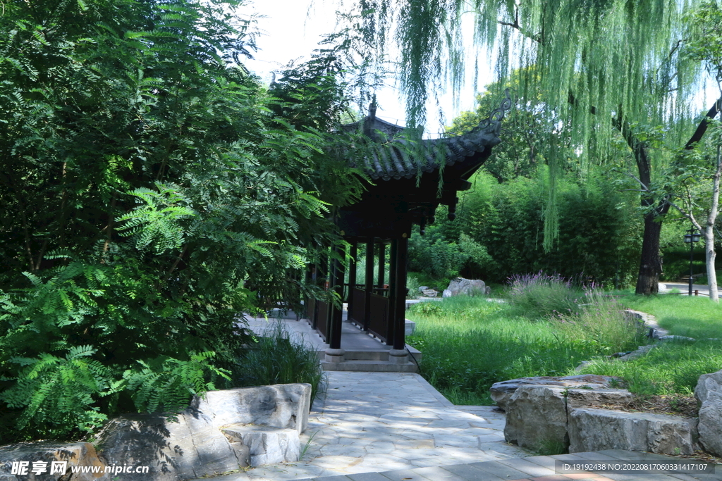 公园风景
