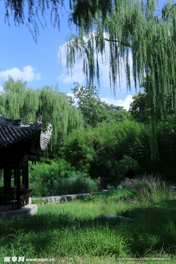 公园风景 