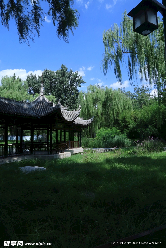 公园风景