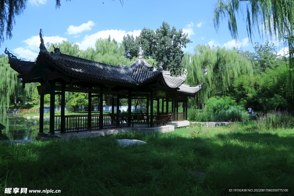 公园风景 