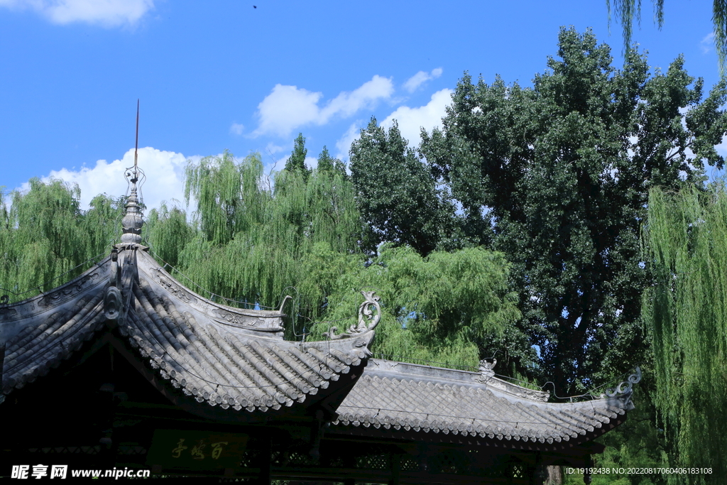 公园风景 