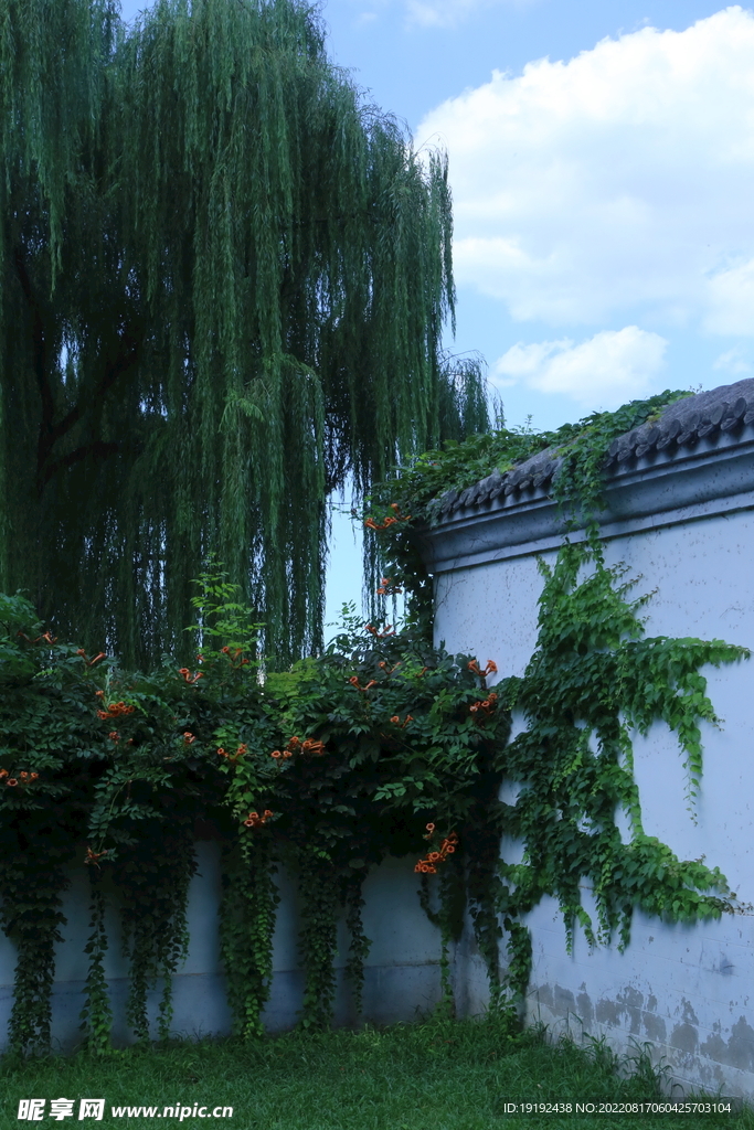 公园风景 