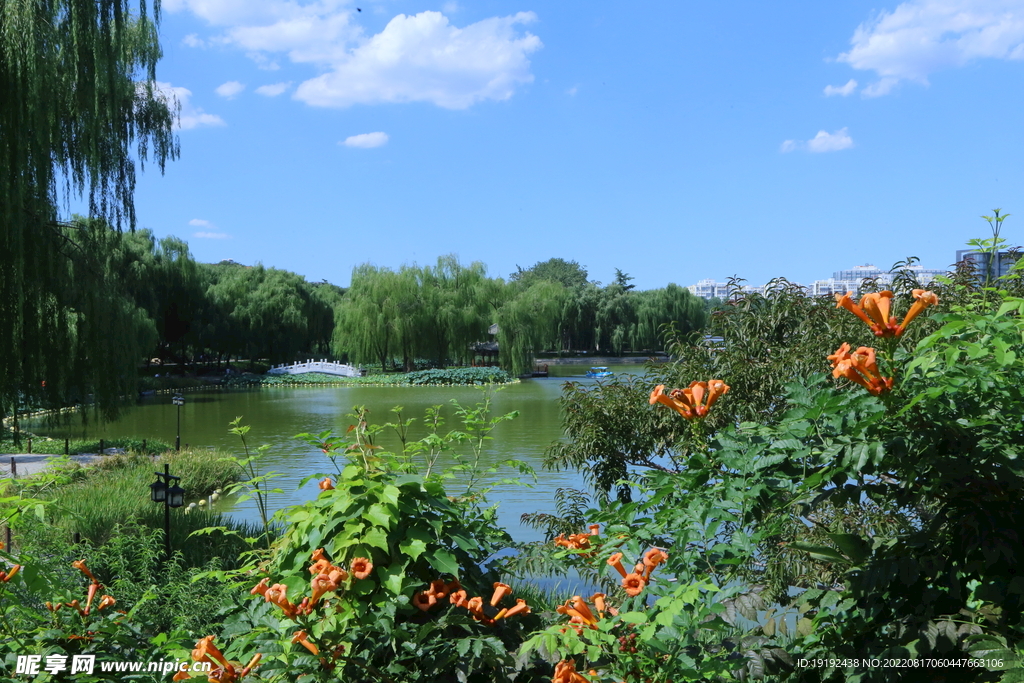 公园风景