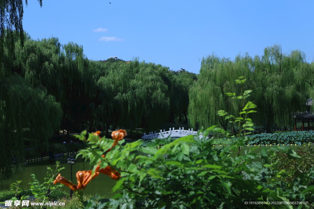公园风景 