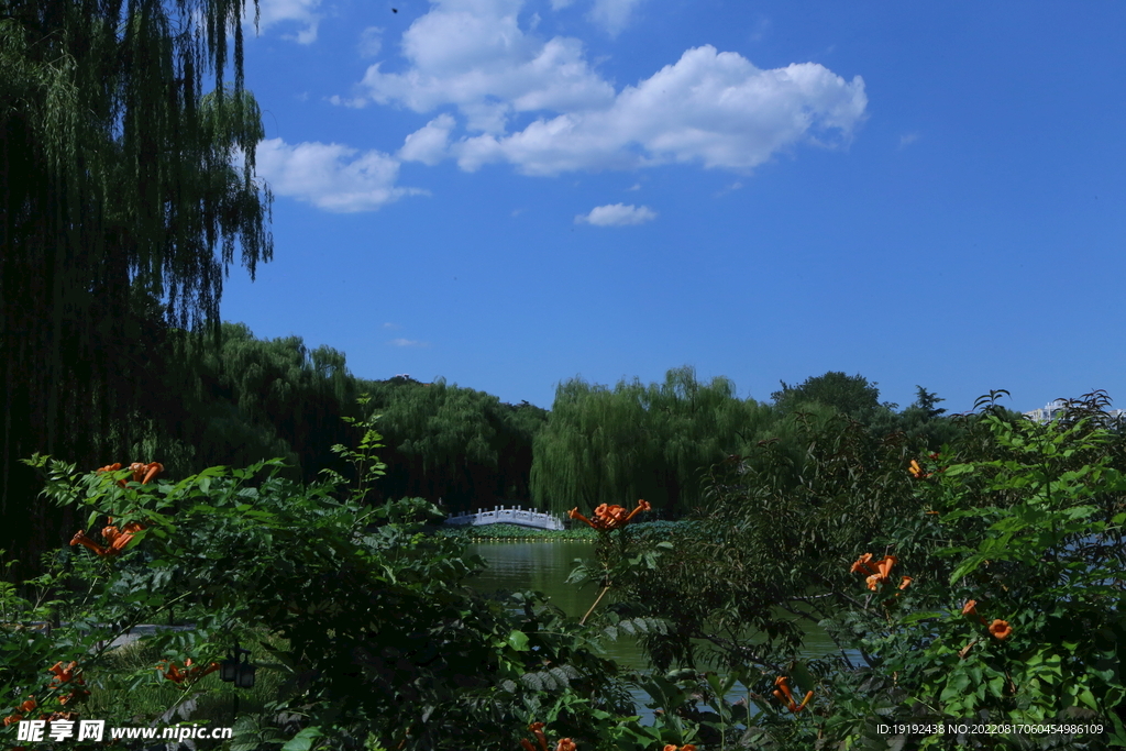 公园风景