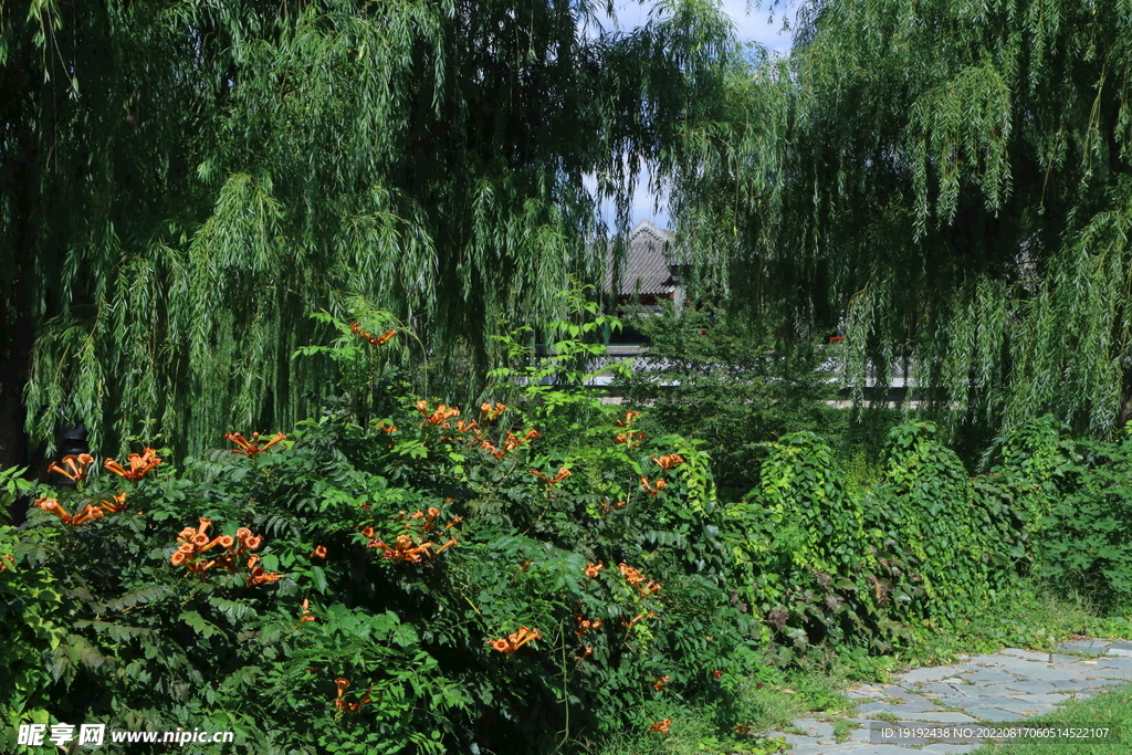 公园风景