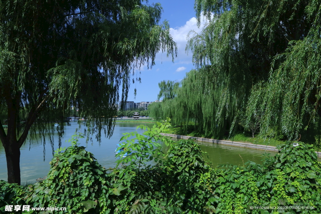 公园风景 