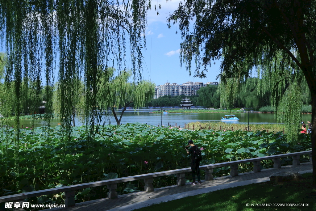 公园风景 