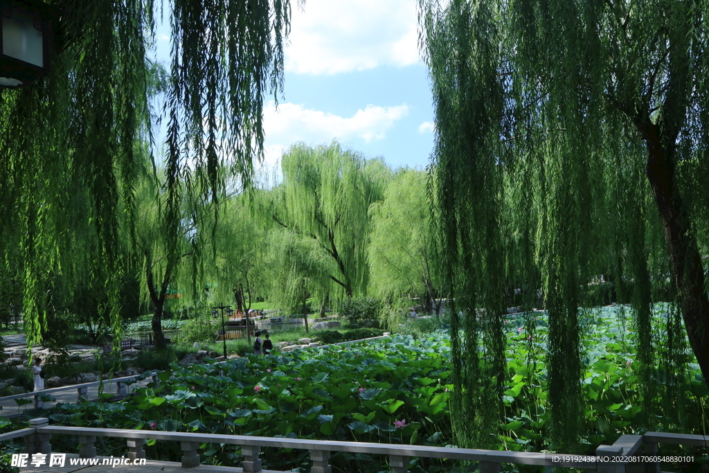公园风景 