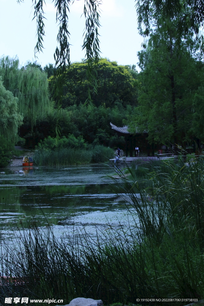 公园风景 