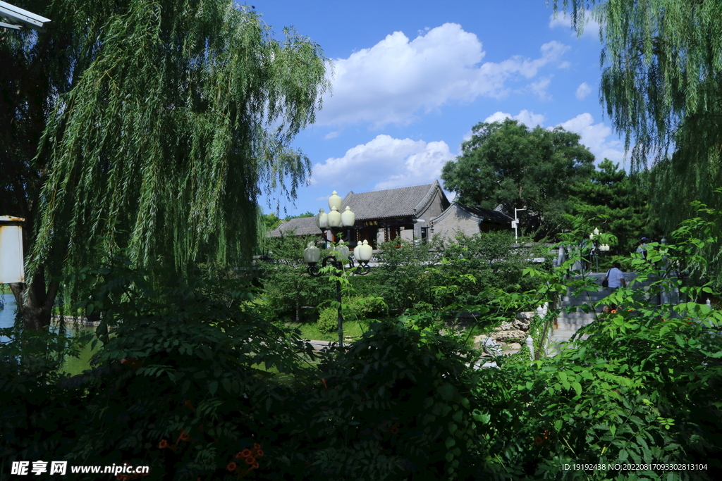 公园风景 