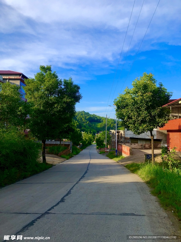 乡村道路绿化