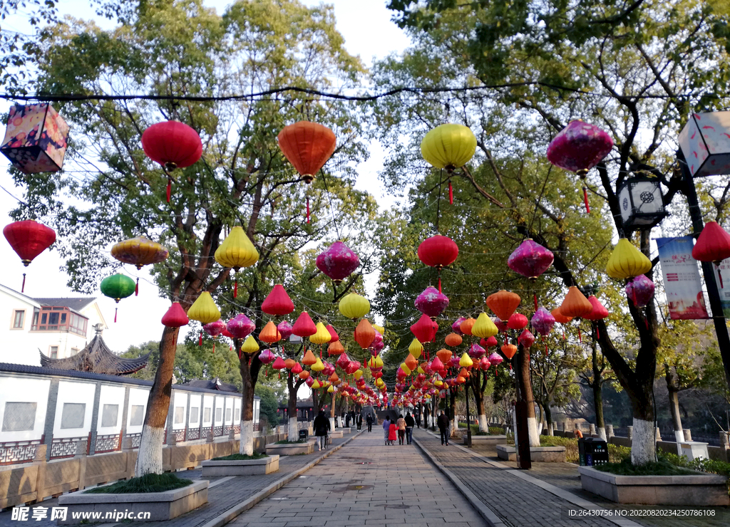灯笼花灯街灯灯会节日