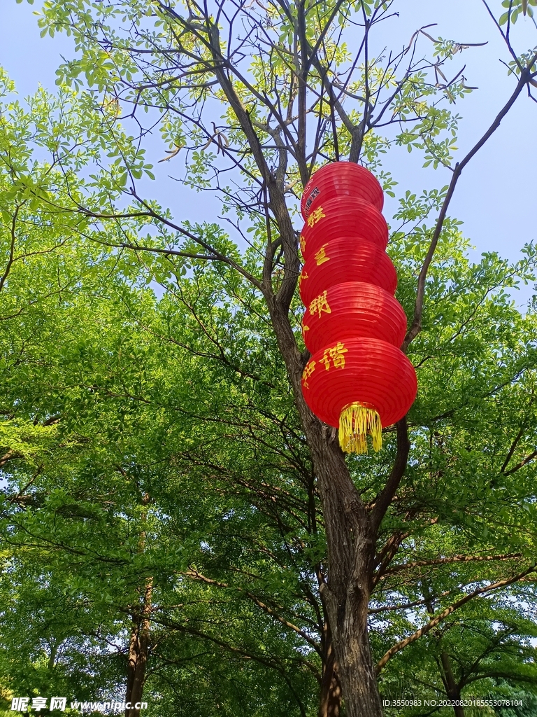 自然 风景