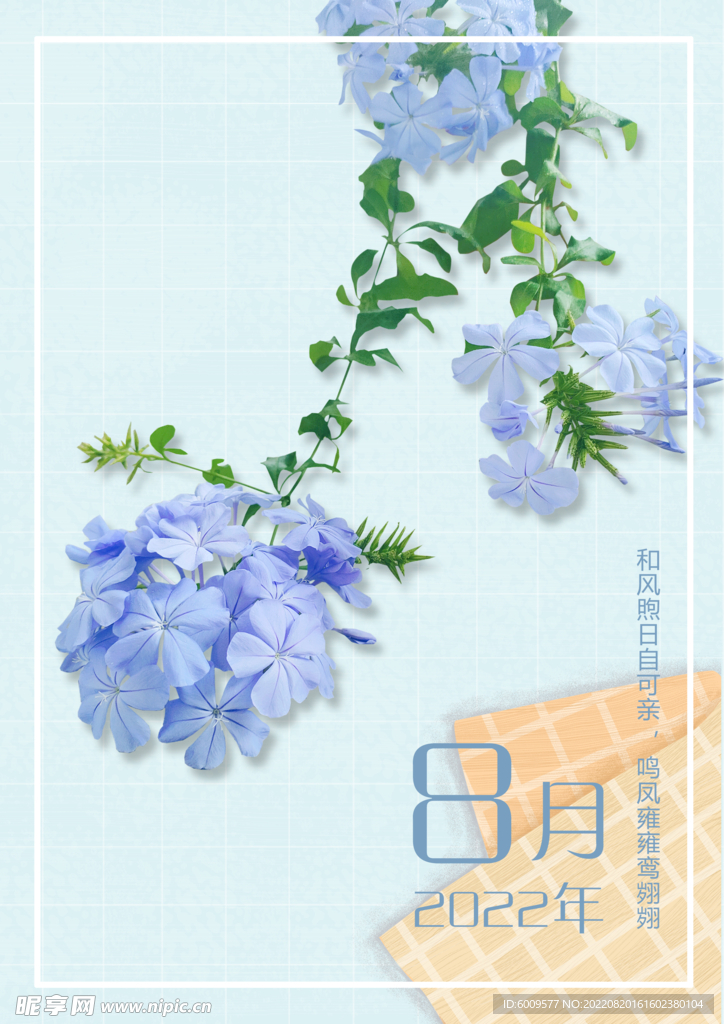 蓝雪花