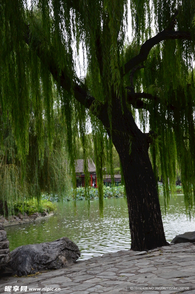 公园风景