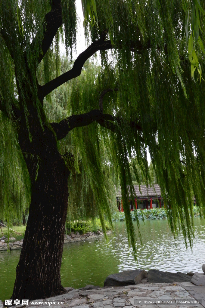 公园风景