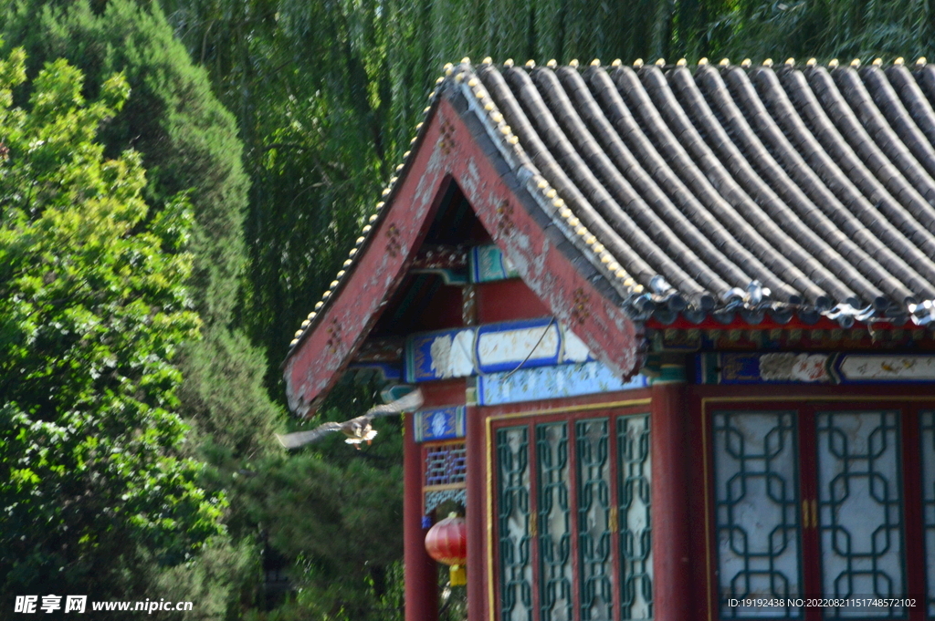 公园风景