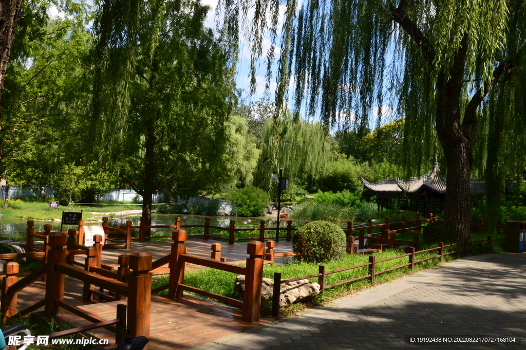 公园风景 