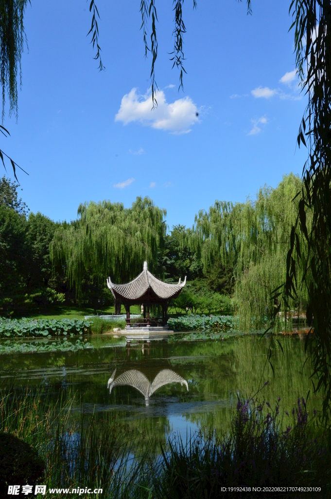 公园风景 