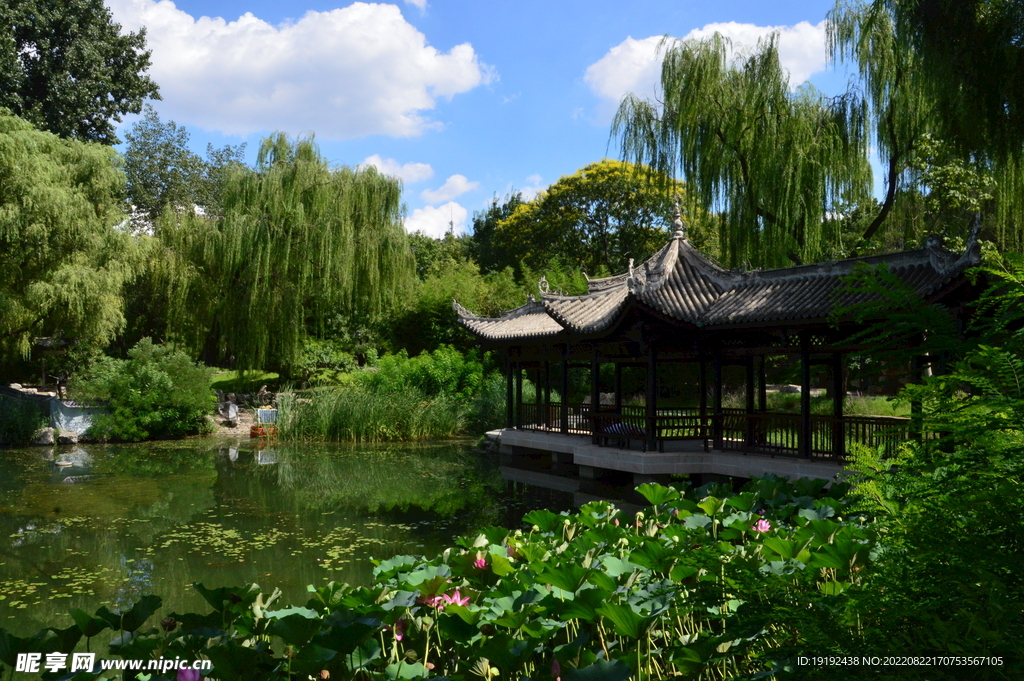 公园风景 