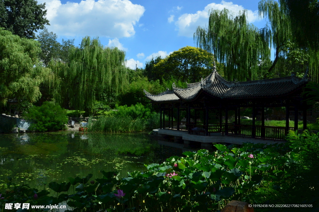 公园风景 