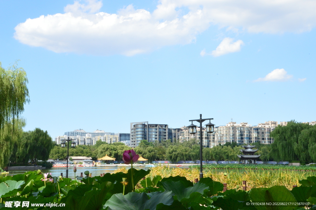 公园风景