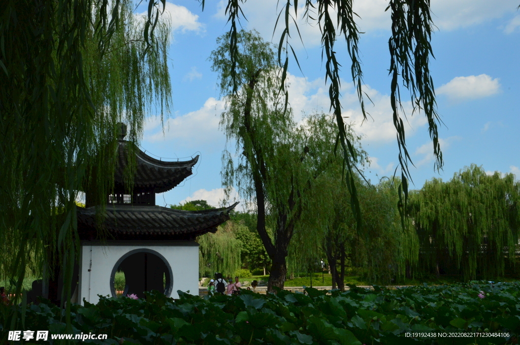 公园风景