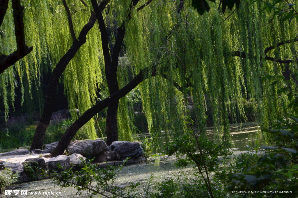 公园风景 