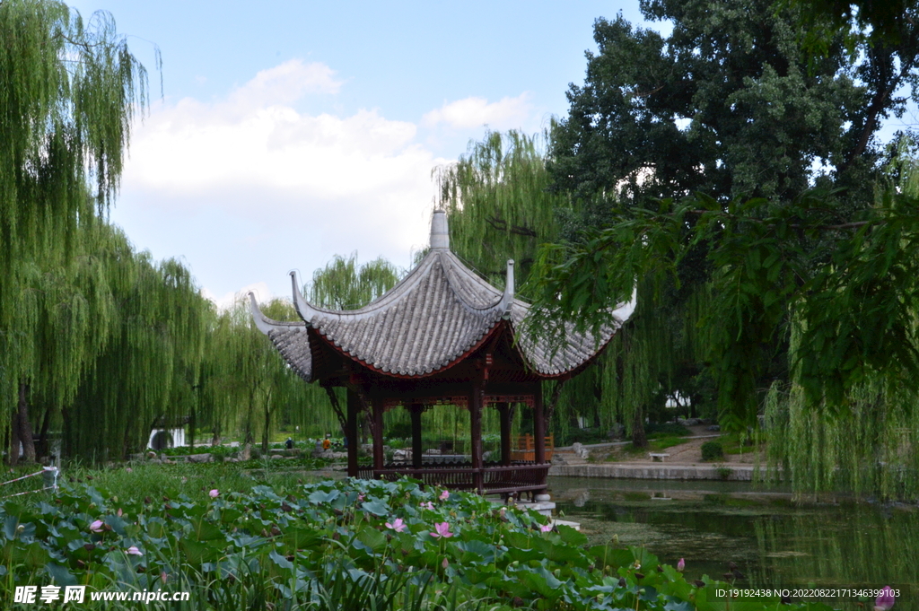 公园风景 