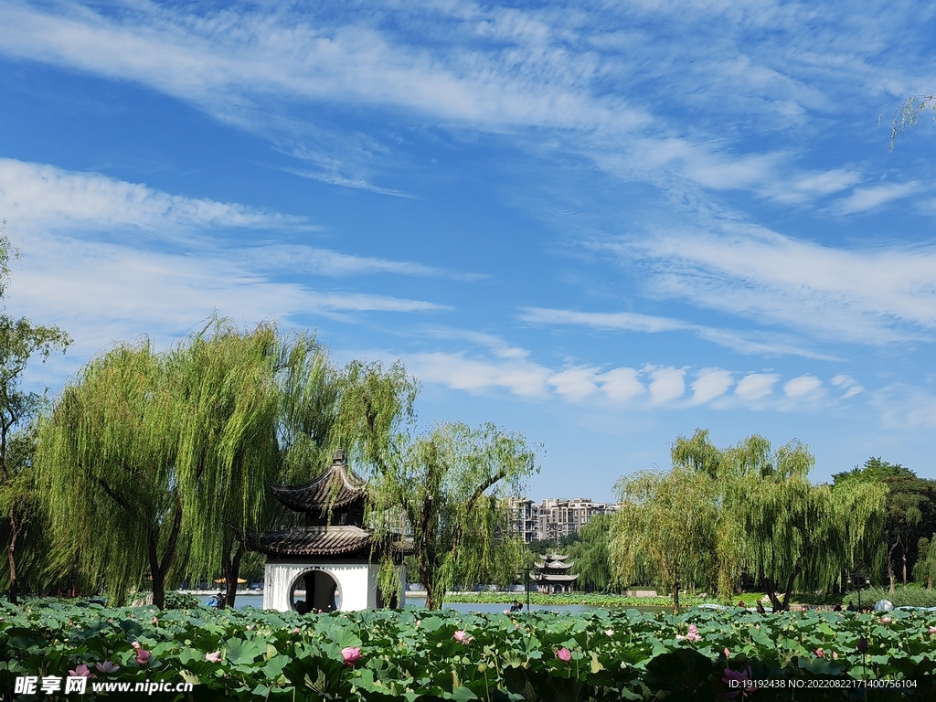 公园风景
