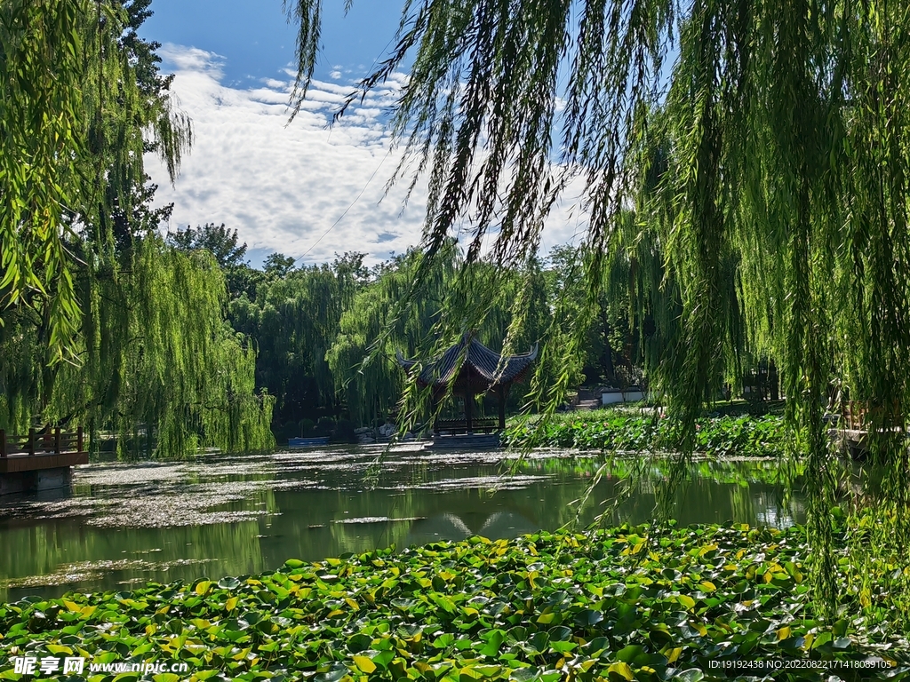公园风景